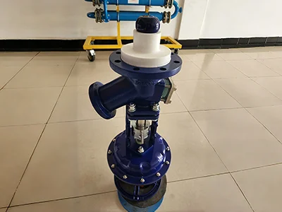 Bottom Outlet Valve