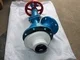 Bottom Outlet Valve / Glass-Lined Outlet Valve
