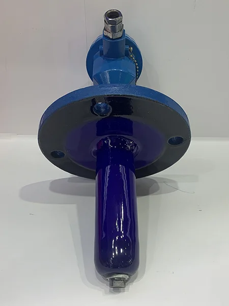 Glass-Lined Thermowell with RTD