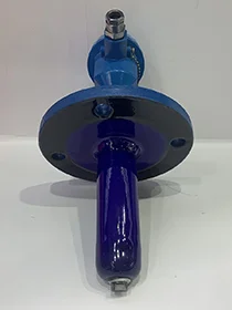 Glass-Lined Thermowell with RTD